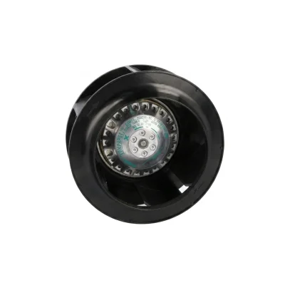 R3G250-AV29-B1